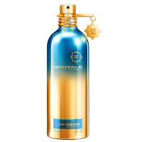 Montale Day Dreams